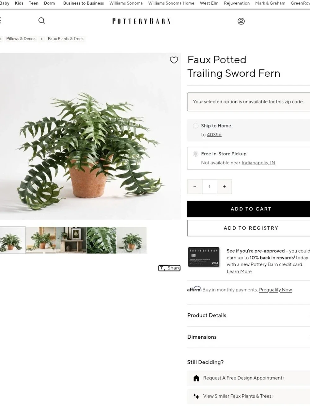 Pottery Barn Faux Potted Trailing Sword Fern